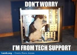Cat photo.jpg