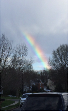 Rainbow.png